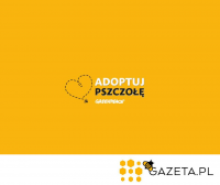  „Adoptuj pszczołę” – akcja portalu gazeta.pl i Greenpeace Polska